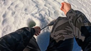 Закрытие сезона твёрдой воды
Форель!