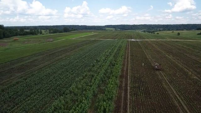 Садовый питомник Прессинг июль 2018