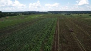 Садовый питомник Прессинг июль 2018