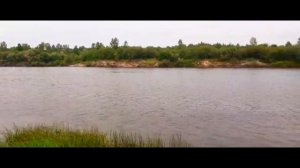 собираю пластиковую рыбку ЧАСТЬ 82