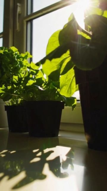 #залипательныйконтент #развлечение #незабываемые_впечатления #увлекательные_истории #креативные_иде