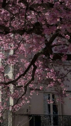 распоковка покупок