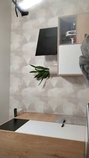 делаю информатику на ноуте