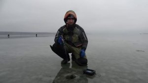 СЮДА СБЕЖАЛАСЬ ТОЛПА! Первый лед на Дону. Первый лед 2025-26. Зимняя рыбалка