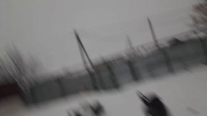 У💥💥БЭЛЛЫ💥💥УТРЕННЯЯ ПРОГУЛКА😅