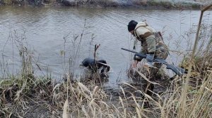 ходовая охота на утку с лабрадором