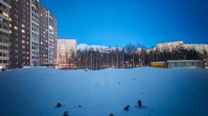 11882131 Университетская 31