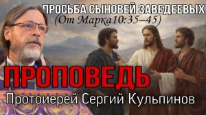 Проповедь о.Сергия Кульпинова "Просьба сыновей Заведеевых".