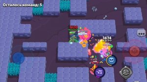 Прокачка прайма на честера