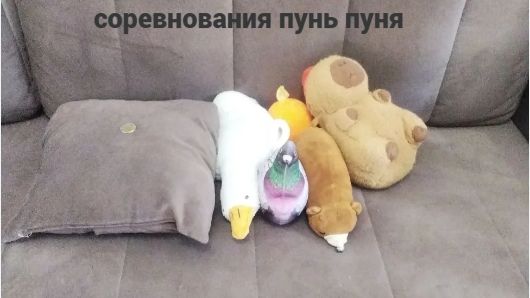 соревнования пунь пуня 1 сезон 4 серия