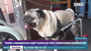 Человек с инвалидностью создает коляски для собак с ограниченными возможностями