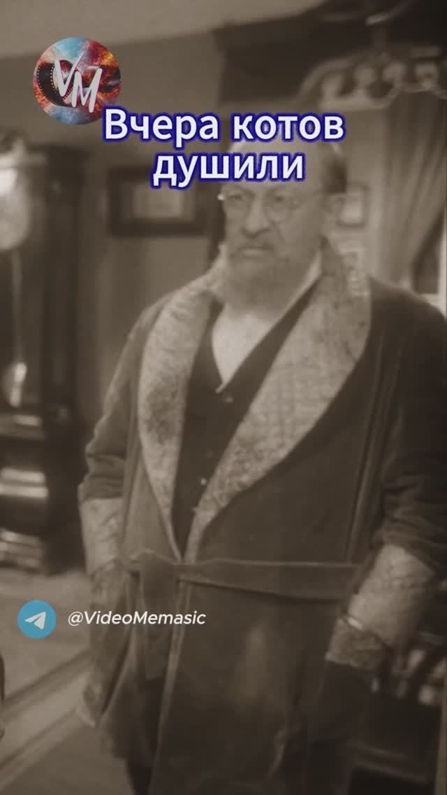 Вчера котов душили
