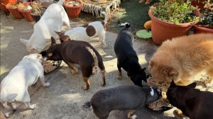 Погода радует, подкрепились на улице.