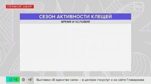 Нашествие клещей и комаров в Москве_ эксперты предупреждают о весенней угрозе.mp4