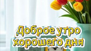 Красивое пожелание с добрым утром днем бодрости ☀️✨