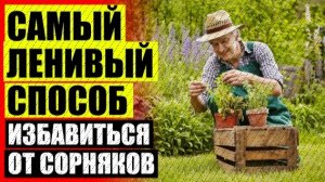 💣 СРЕДСТВА ДЛЯ БОРЬБЫ С СОРНЯКАМИ 👍
