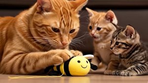 Котики - сборник [50 минут]