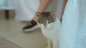 Видеоклип "Как это было"- о том, как осуществлялась подготовка участниц к финалу на БО "Курочкино".