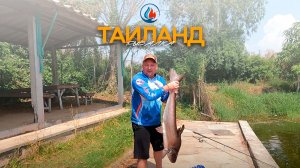 СИБТЕРМО рыбачит на сома в Таиланде