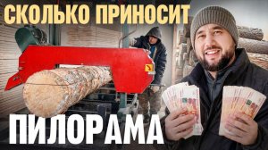 Пилим лес на пилораме и делаем деньги. Сколько приносит пилорама. - Разборщик