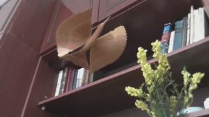 ВЛОГ 2 серия БОЛЬШАЯ СПАЛЬНЯ до ремонта _Стенка до окрашивания Я АМБАССАДОР СТАРЬЯ...нет самокритики