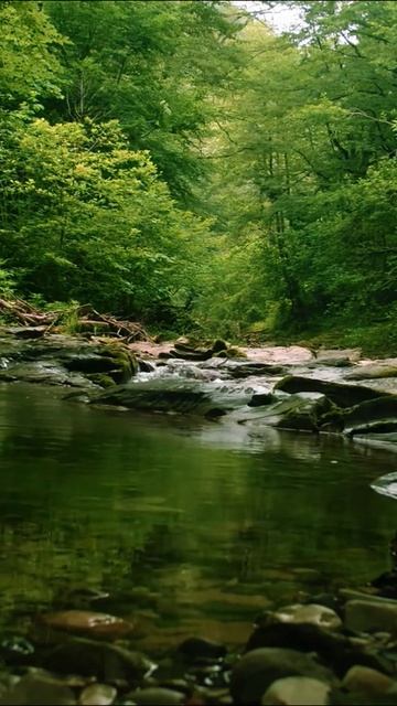 След твоего очарования