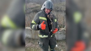 Сотрудники МЧС вытащили щенка, упавшего в пятиметровый колодец в Мелитополе