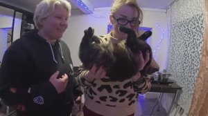 Алиса Неземная- ВОТ ТАКУЮ ВКУСНЯТИНУ Я ПРИГОТОВИЛА НА УЖИН )