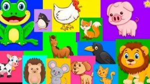 Учим животных