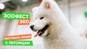 Как прошёл ЗООФЕСТ ЭКО 2026