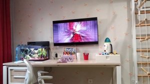 реакция на клип (дин дон)