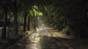 Нежный звук дождя для сна и расслабления 🌧️ Успокаивающий ночной парк ASMR