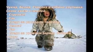 Анекдоты о чукчах 2 часть