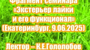 Фрагмент семинара «Экстерьер лайки и его функционал» . Лектор – К.Е.Гололобов