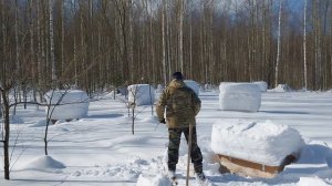 на пасеке 11 марта