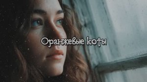 "Оранжевые коты"  Олег Сталь