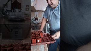 11.03.26..дачник.. интересно..