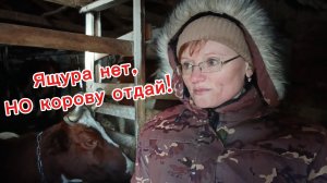 Ящур/Пастереллез/Изъятие скота/Что происходит у нас в Сибири