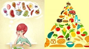 Питание человека: что нужно знать