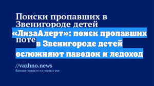 «ЛизаАлерт»: поиск пропавших в Звенигороде детей осложняют паводок и ледоход