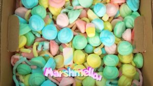 नस्त्या और दोस्त मज़ेदार अल्फाबेट सी