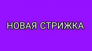 Новый паспорт Домосёра