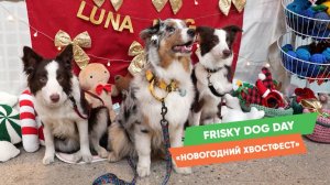 Frisky Dog Day | «Новогодний хвостфест»