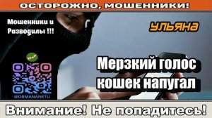 Мошенники звонят по телефону _ Мерзкий голос кошек напугал ( сборник ).