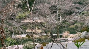 Последний день в Киото|Неспешная прогулка