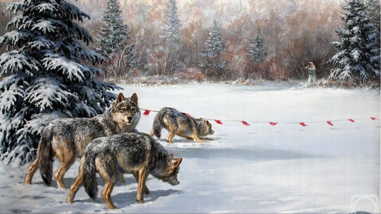 Тропы Тимбергольда-добыли медведя и волка