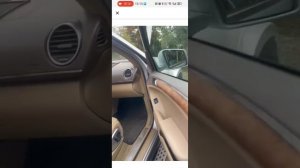 petal_20260311_151844.mp4