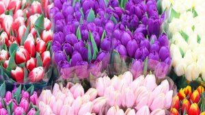 «Пьют водку на мои деньги»: мошенник из Екатеринбурга обманул женщину 8 марта