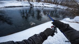 Весна пришла, щука зашевелилась. Короткая рыбалка на спиннинг, где и как поймать щуку [Пора ловить]