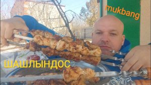 МУКБАНГ ШАШЛЫК из свинины и курицы/ОБЖОР на даче/еда на камеру/кушать